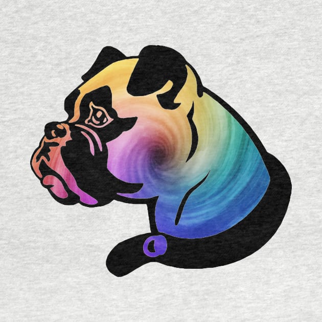 Rainbow Swirl Boxer by ARTWORKandBEYOND